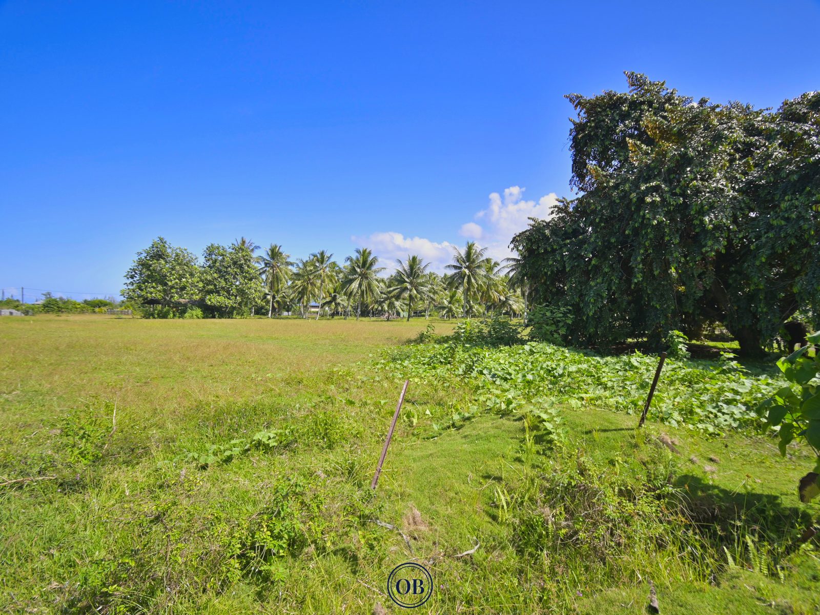 Terrain de 800 m² à Toahotu — Lot 1 — Toahotu, Presqu'île de Tahiti