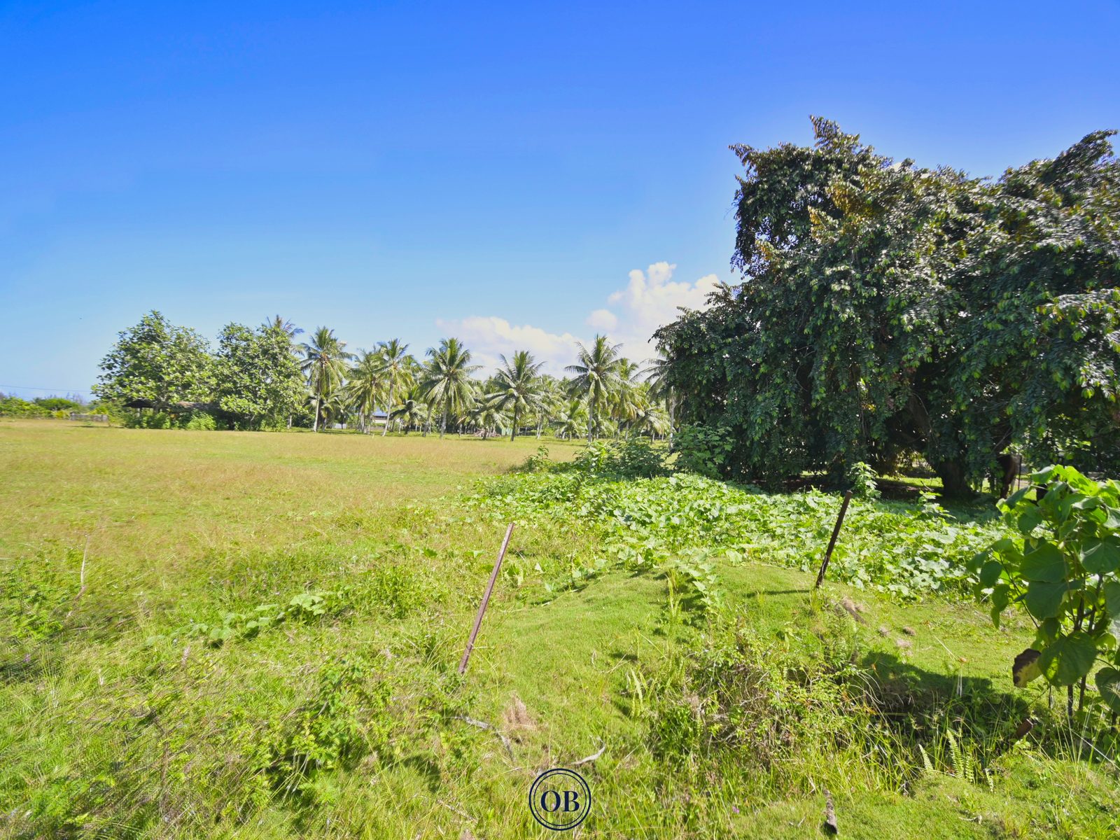 Visite 360°