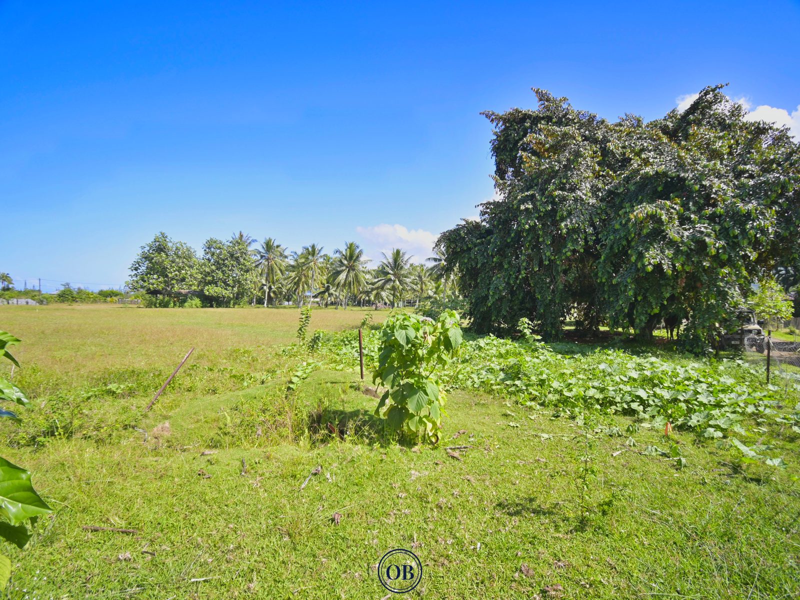 Terrain de 800 m² à Toahotu — Lot 1