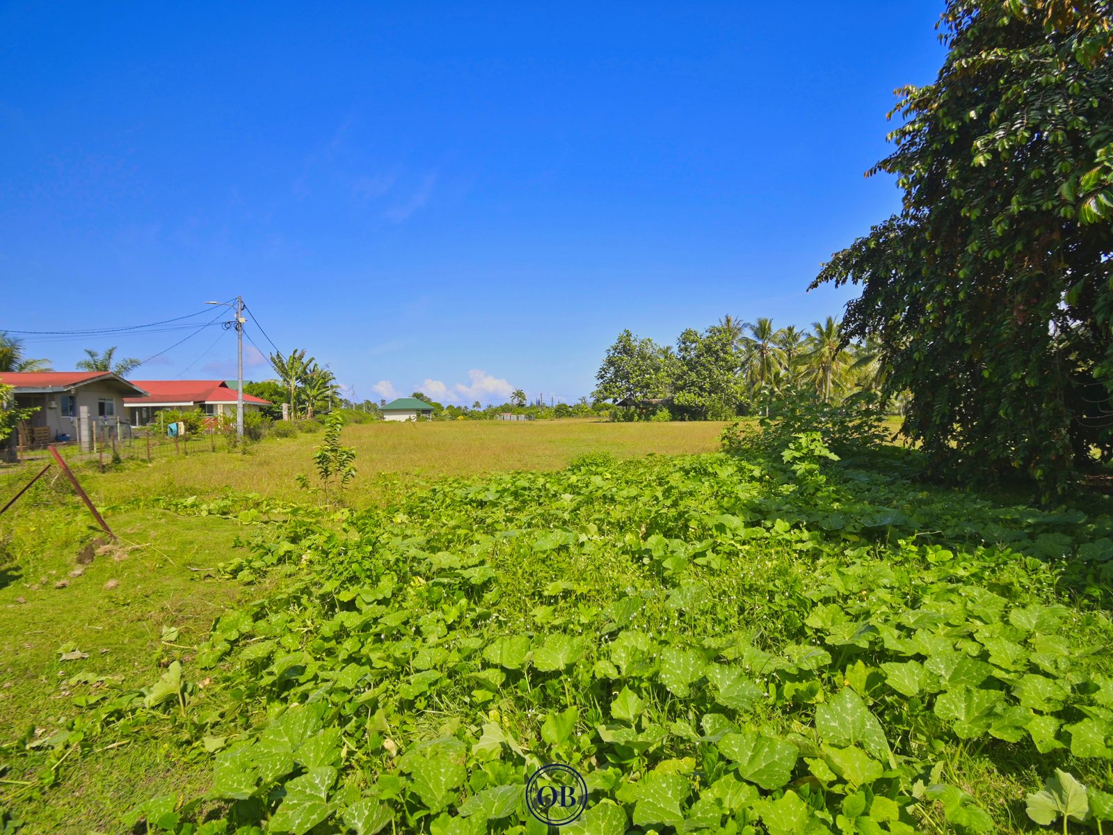 Terrain de 800 m² à Toahotu — Lot 1