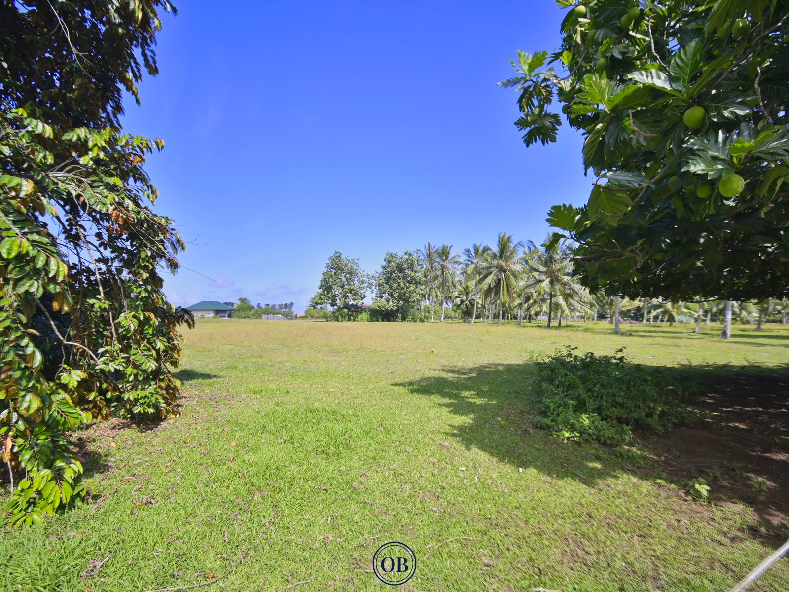 Terrain de 800 m² à Toahotu — Lot 2 — Toahotu, Presqu'île de Tahiti