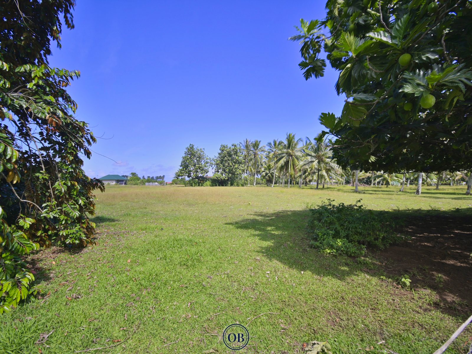 Visite 360°