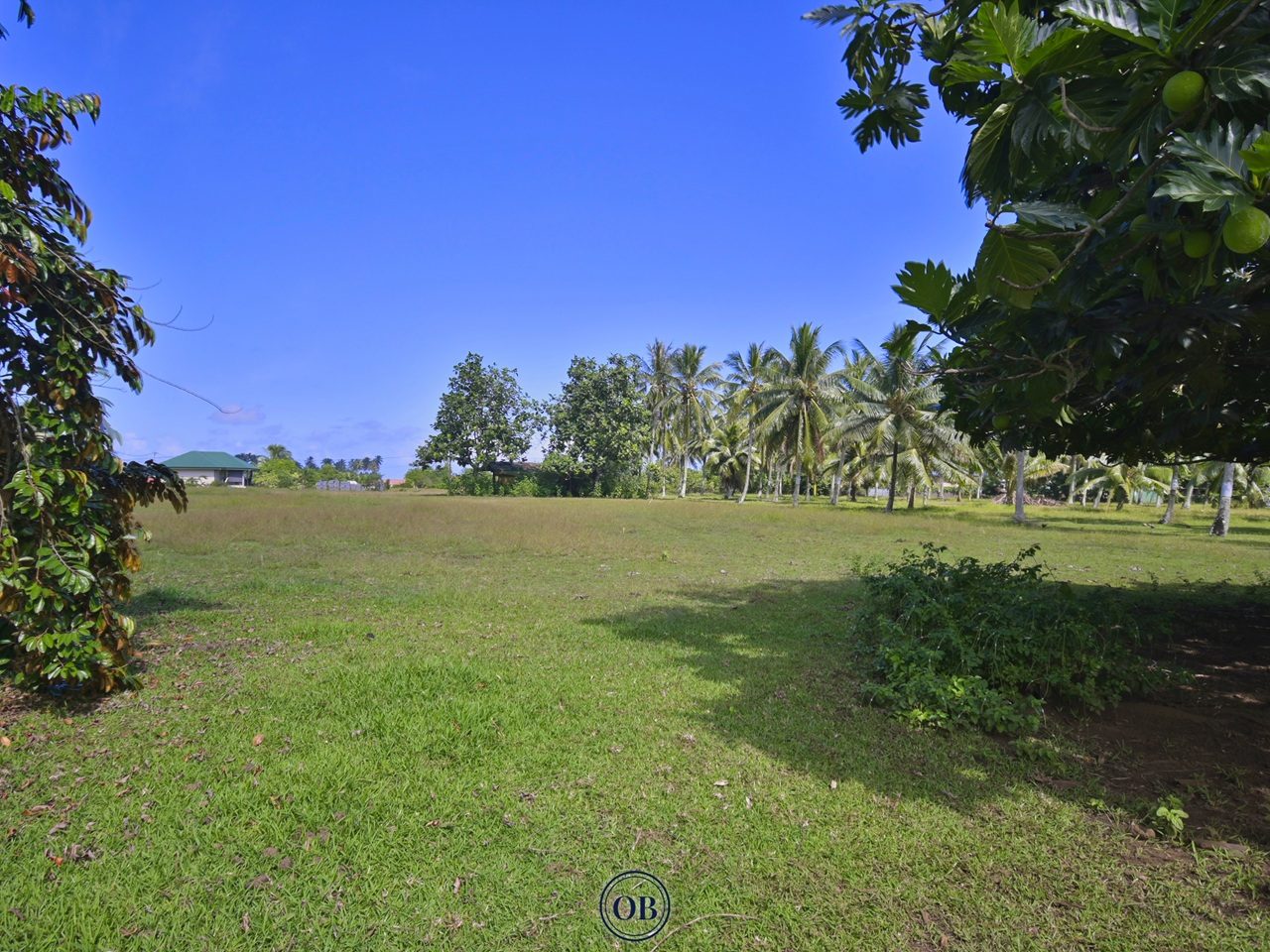Terrain de 800 m² à Toahotu — Lot 2